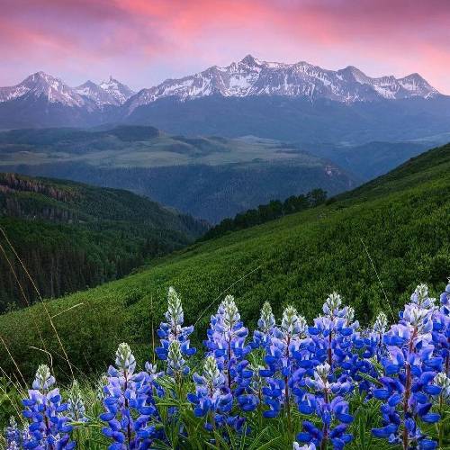 امید مهدیزاده چومه هزار دکترا مه نخواش جواب گر دست برمه